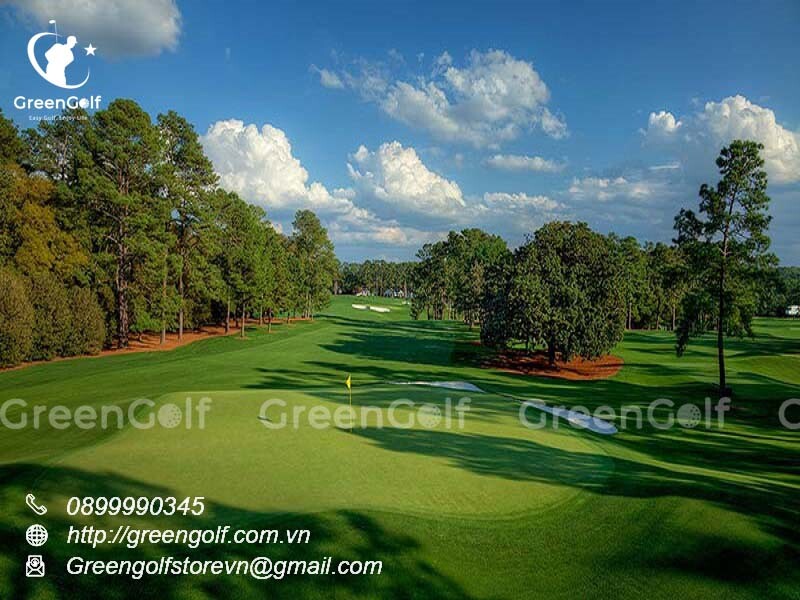 Thiết kế Thi Công Sân Golf Cỏ Thật