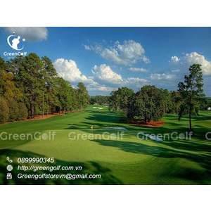 Thiết kế Thi Công Sân Golf Cỏ Thật