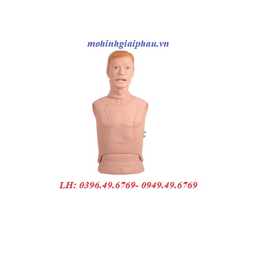 Mô hình chọc rửa thông xoang hàm