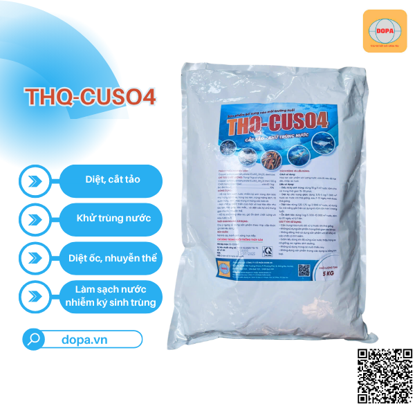 THQ-CuSO4: Giải Pháp Cắt Tảo, Khử Trùng Nước Ao Hiệu Quả Cho Cá, Tôm
