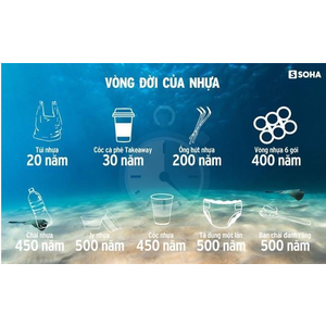 Thực trạng rác thải nhựa Việt Nam - Giải pháp tất yếu Trung Hòa Nhựa