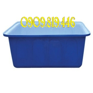 THÙNG CHỮ NHẬT 300 L