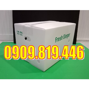 THÙNG NHỰA ĐỰNG GỪNG 10KG