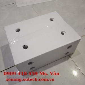 Thùng đựng gừng