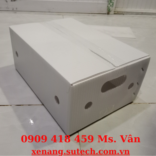 Thùng đựng gừng xuất khẩu