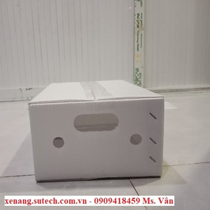 Thùng đựng gừng 3kg