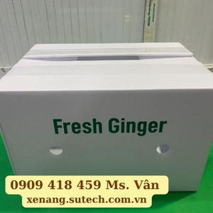 Thùng nhựa đừng gừng 380x270x240(mm)