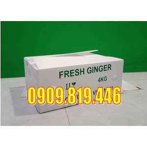 THÙNG NHỰA ĐỰNG GỪNG 3,5KG - 4KG