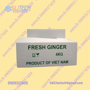 Thùng nhựa đựng gừng xuất khẩu đáy kín - nắp hở (3 - 4kg)