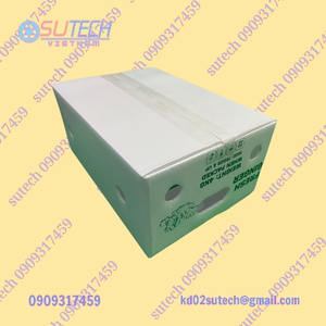 Thùng nhựa đựng gừng xuất khẩu đáy kín - nắp hở (3 - 4kg)