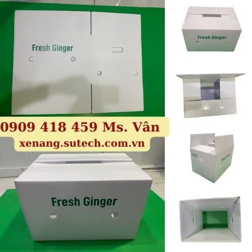 Thùng nhựa đựng nông sản