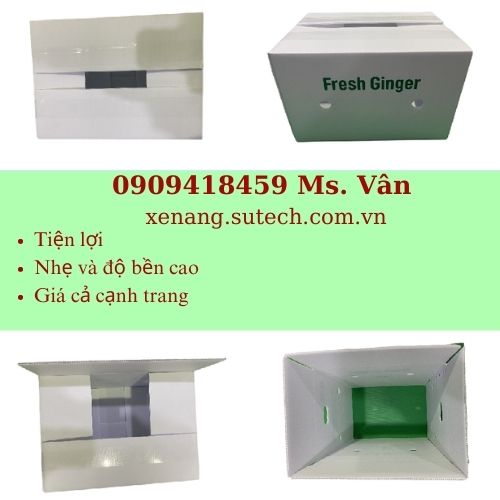 Thùng nhựa đựng gừng 380 x 270 x 240(mm)