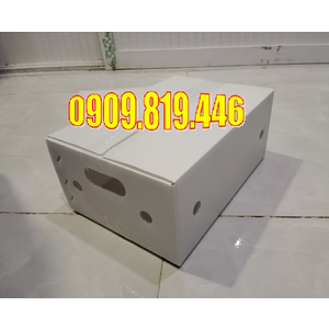 THÙNG NHỰA ĐỰNG GỪNG 320 x 220 x 140MM