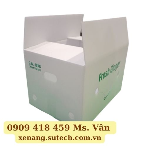 Thùng nhựa đựng gừng xếp gọn 10kg