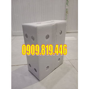 THÙNG NHỰA ĐỰNG GỪNG 3KG