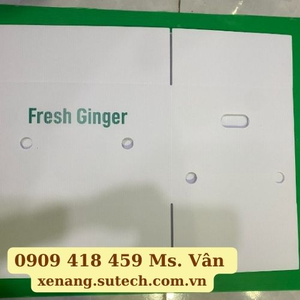 Thùng nhựa gừng xếp gọn 380x270x240(mm)