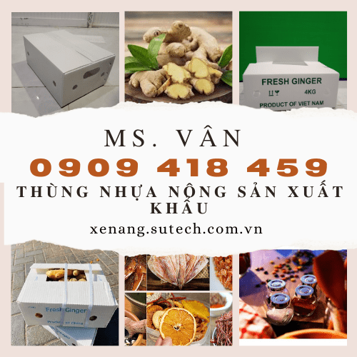 Thừng đựng gừng xuất khẩu