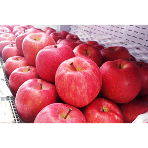 Táo Fuji Mỹ Đỏ Giòn