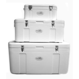 THÙNG VẬN CHUYỂN SINH PHẨM