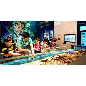Vé Thủy Cung Singapore Sea Aquarium - Vé tham quan
