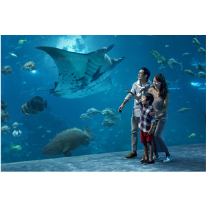 Vé Thủy Cung Singapore Sea Aquarium - Vé tham quan