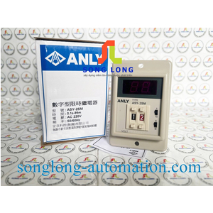 TIMER ANLY ASY-2SM