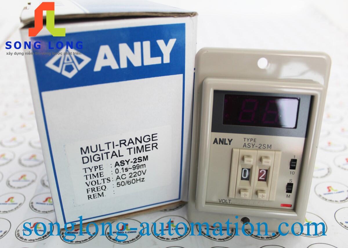 TIMER ANLY ASY-2SM