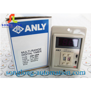 TIMER ANLY ASY-2SM