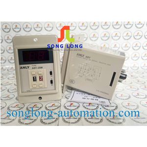 TIMER ANLY ASY-2SM