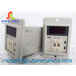 TIMER ANLY ASY-2SM