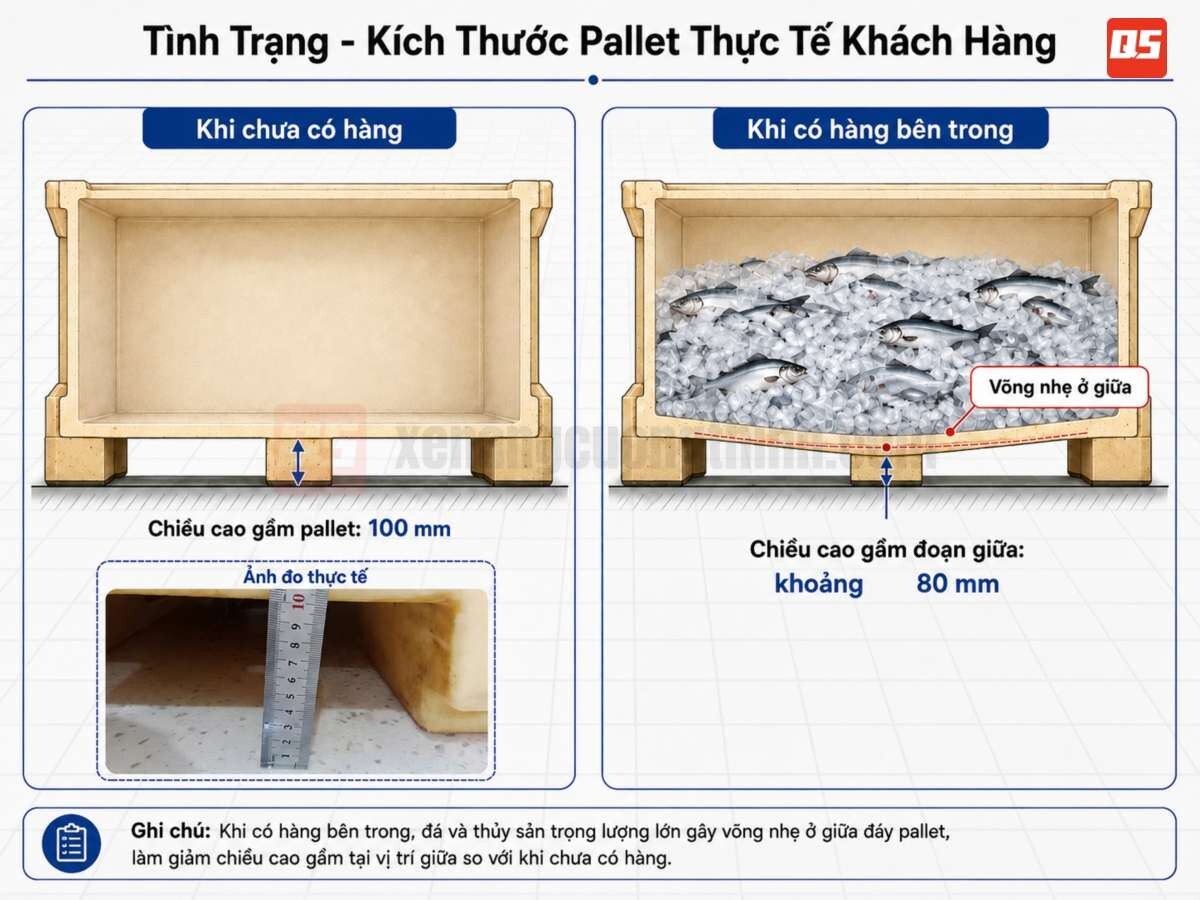 Bàn Giao Xe Nâng Tay Inox Kho Lạnh - Kho Thủy Sản