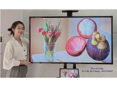 Khung màn hình cảm ứng Tivi 49 inch
