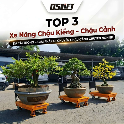 Top 3 Mẫu Xe Nâng Chậu Cảnh, Chậu Kiểng Nổi Bật