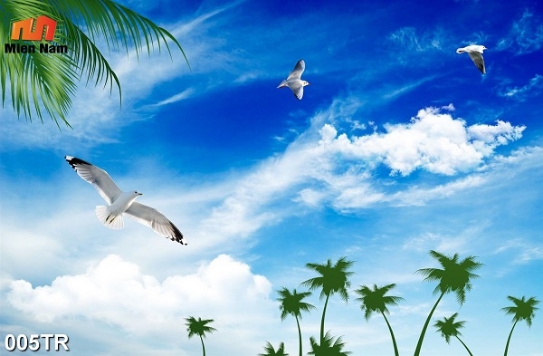 trần xuyên sáng huyện Cần Giờ