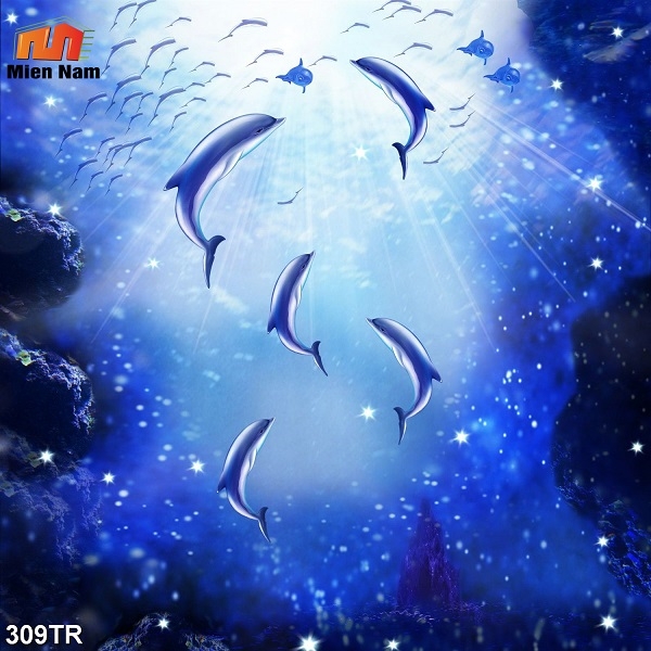 trần xuyên sáng huyện Củ Chi