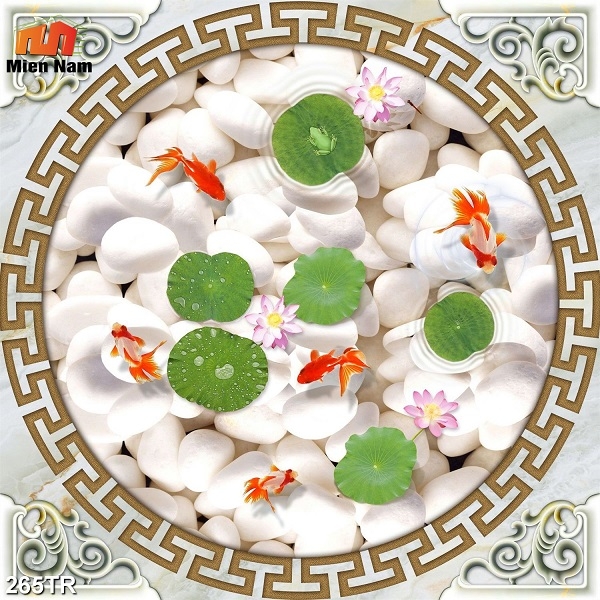 trần xuyên sáng huyện Hóc Môn trần xuyên sáng huyện Hóc Môn