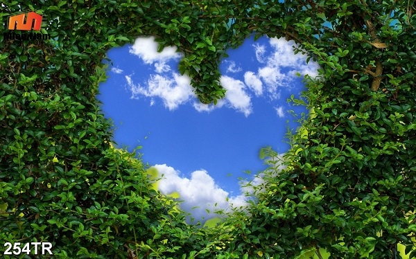 trần xuyên sáng quận Bình Tân trần xuyên sáng quận Bình Tân