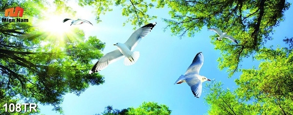 trần xuyên sáng quận Bình Tân trần xuyên sáng quận Bình Tân