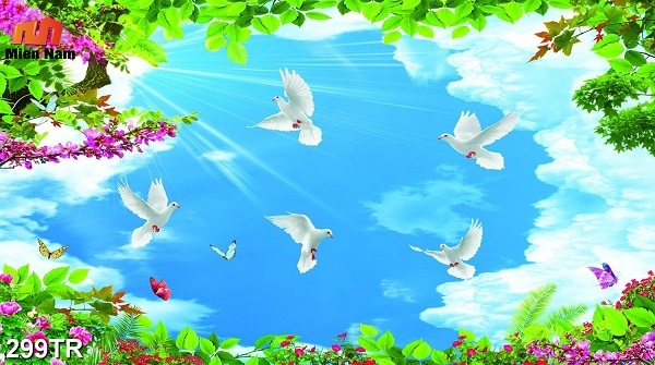 trần xuyên sáng quận Bình Thạnh trần xuyên sáng quận Bình Thạnh