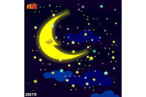 Trần xuyên sáng quận Phú Nhuận - Sự lựa chọn hoàn hảo cho những ngôi nhà ống