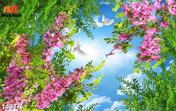 trần xuyên sáng quận Tân Bình