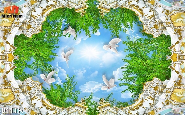 trần xuyên sáng quận Tân Phú