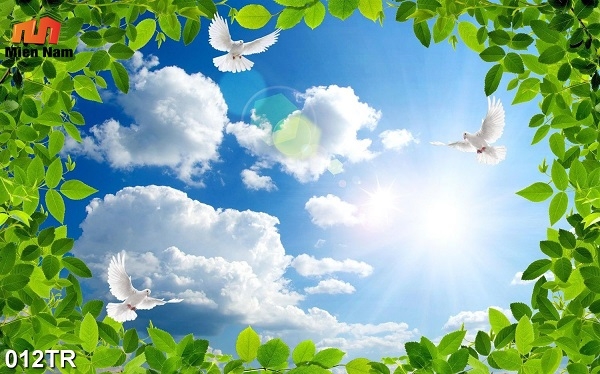 trần xuyên sáng quận Tân Phú