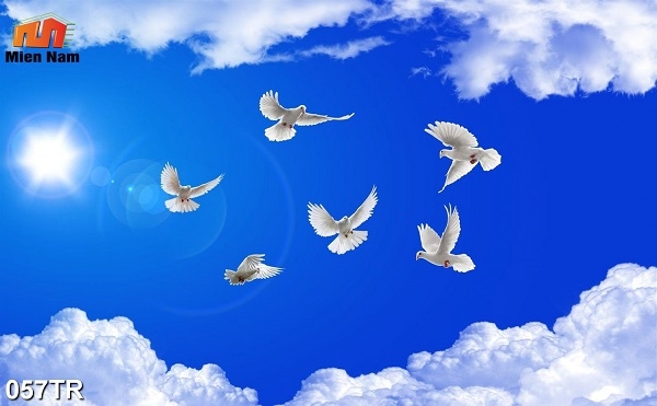 trần xuyên sáng quận Thủ Đức