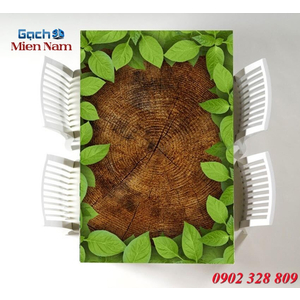Tranh 3d mặt bàn MB159