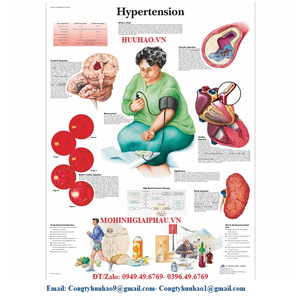 TRANH VỀ BỆNH TĂNG HUYẾT ÁP