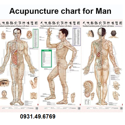 TRANH CHÂM CỨU TOÀN THÂN NAM BỘ 3 TỜ