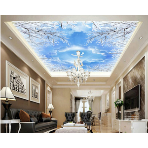 Tranh dán trần 3D DT59