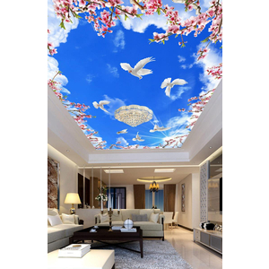 Tranh dán trần 3D DT60