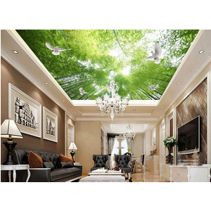 Tranh dán trần 3D DT61